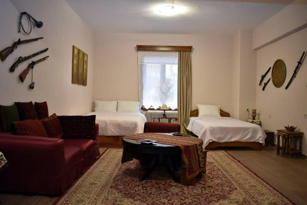 Eufrosini Guesthouse Metsovo Exterior foto